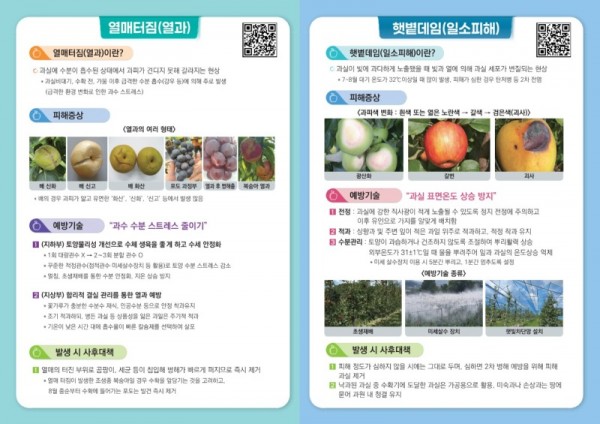 여름철 과수 피해 예방 기술 리플릿_2.jpg